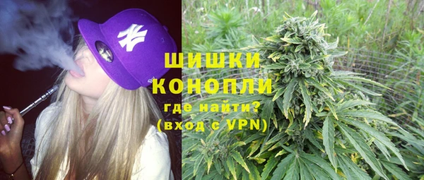 винт Абаза