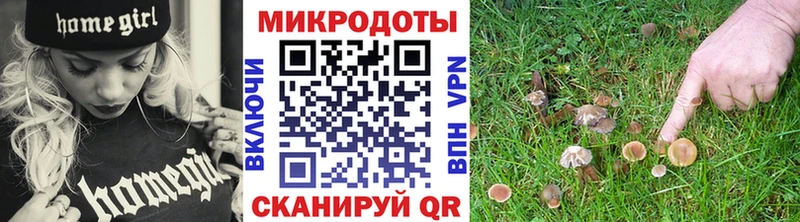 OMG рабочий сайт  Оренбург  Псилоцибиновые грибы мицелий 