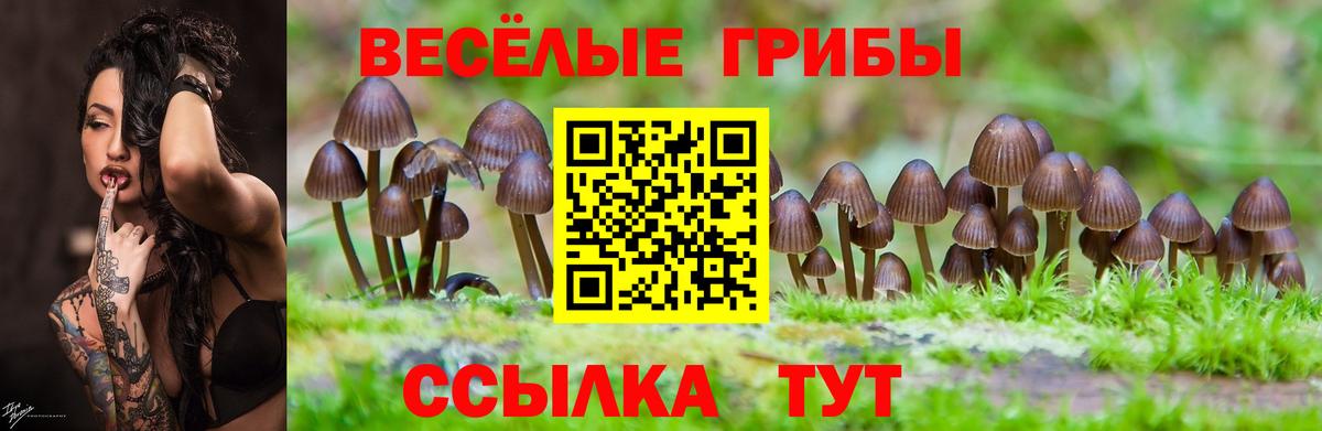 Псилоцибиновые грибы Magic Shrooms  Псилоцибиновые грибы Cubensis  Оренбург  Вход с VPN 